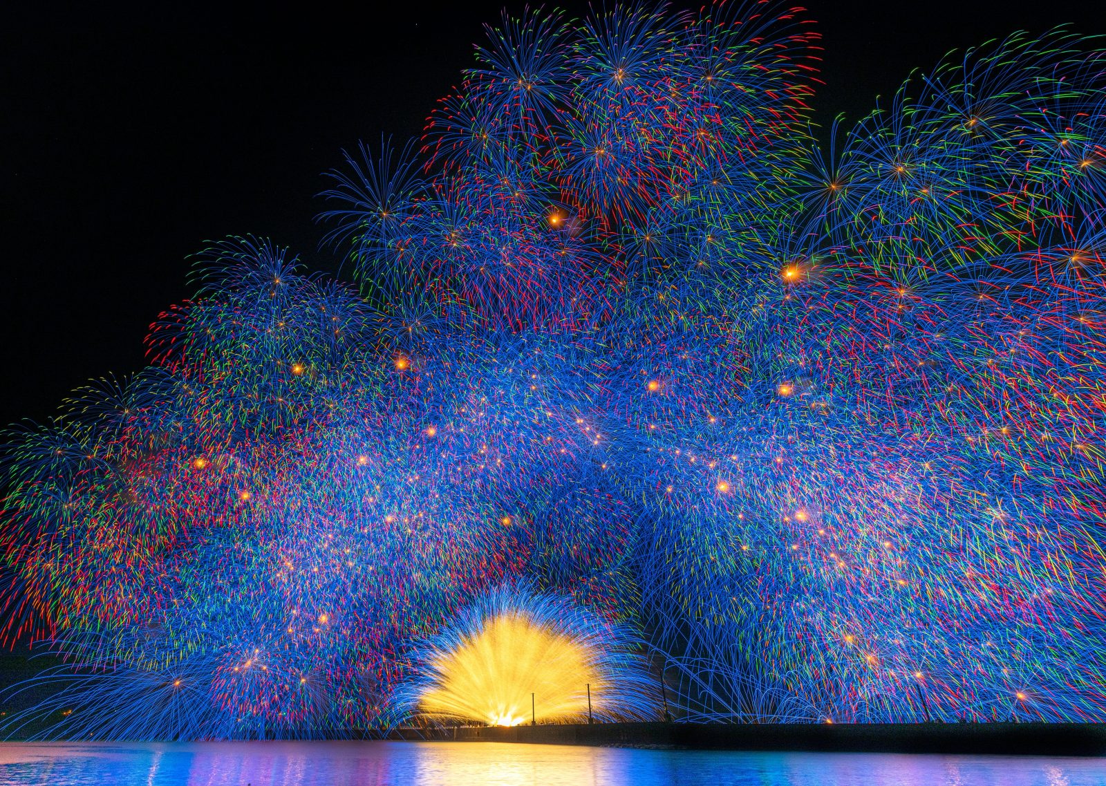 きほく燈籠祭の写真「2022年の彩色千輪菊（彩雲孔雀）」