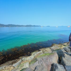 坂手海水浴場から眺める鳥羽湾