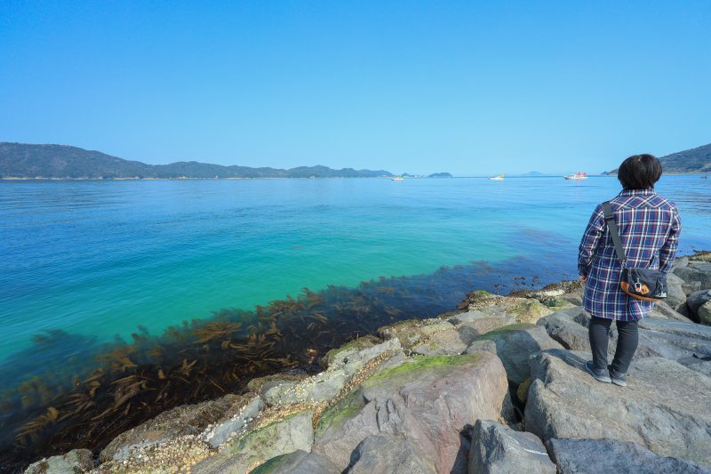 坂手島の写真「坂手海水浴場から眺める鳥羽湾」