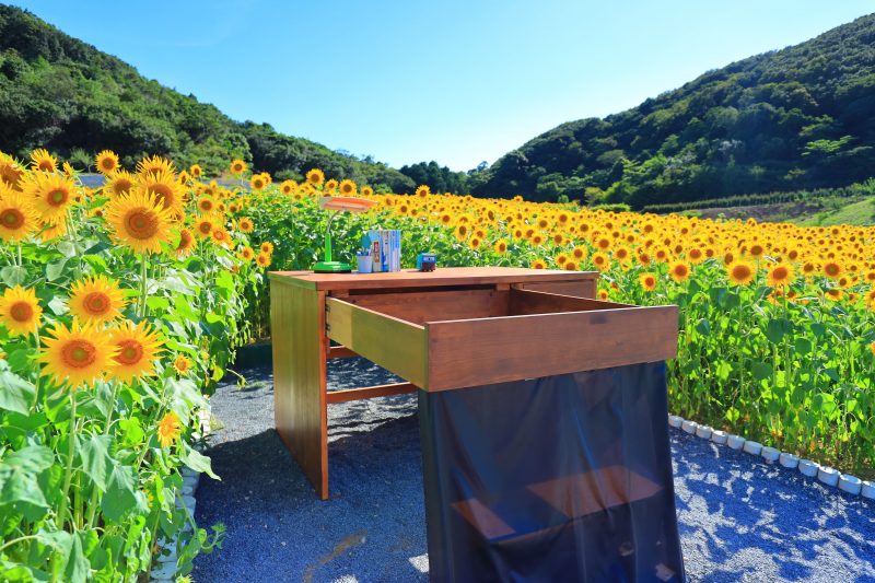 志摩市観光農園の写真「のび太の机らしきもの」