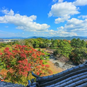 伊賀上野城の写真「伊賀上野城からの眺め」