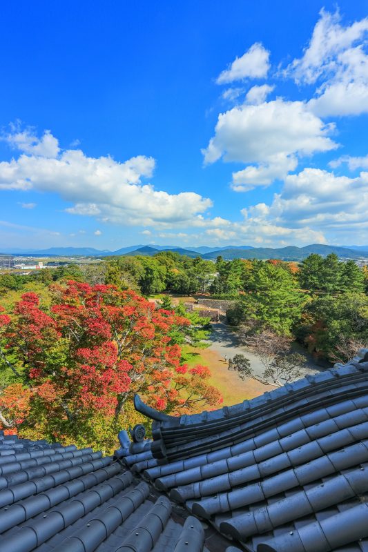伊賀上野城の写真「伊賀上野城からの眺め」