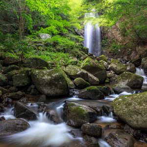 白藤滝の写真「岩の間を流れる滝の清流」