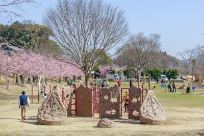 宮リバー度会パークの写真「遊具がいっぱい」