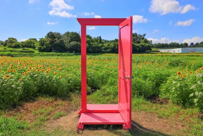 とことめの里 一志の写真「どこでもドアとひまわり」
