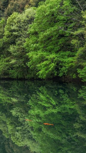 無料スマホ壁紙「新緑の水鏡」
