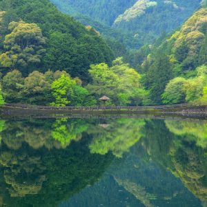 真手公園の写真「持越池の水面に映る新緑の山々」