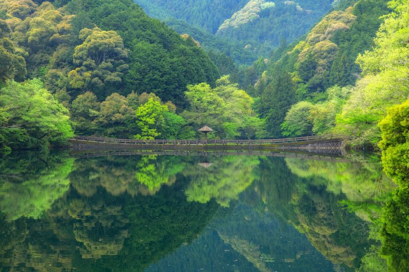 真手公園の写真「持越池の水面に映る新緑の山々」