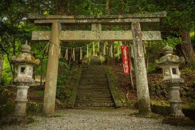 真福院の写真「参道の入口にある鳥居」