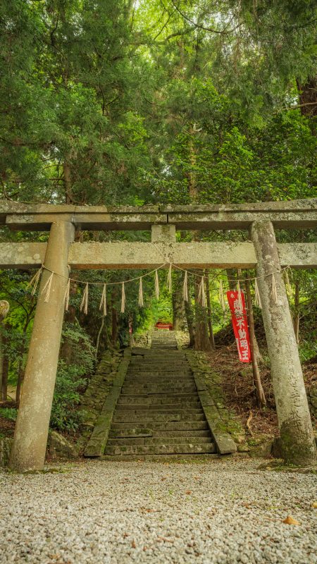 真福院の写真「鳥居越しに眺める参道の石段と山門」