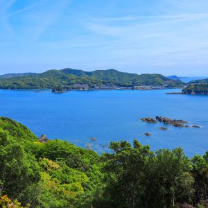 絶景ブランコからの眺める南伊勢町の海