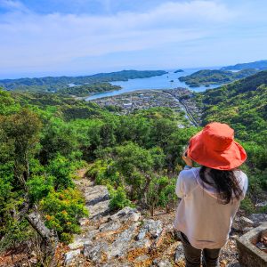 山頂付近の石段から眺める光景