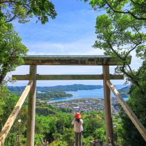 新緑の山頂と鳥居