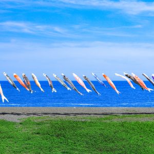 七里御浜の写真「青い海と空を泳ぐ鯉のぼり」