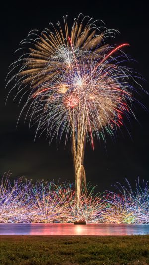 無料スマホ壁紙「水上孔雀の舞（縦）【2024年】」