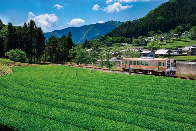 名松線の写真「【美杉茶】名松線と茶畑」