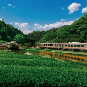 名松線の写真「田んぼに写る名松線」