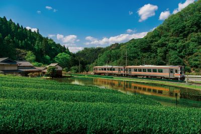 名松線の写真「田んぼに写る名松線」