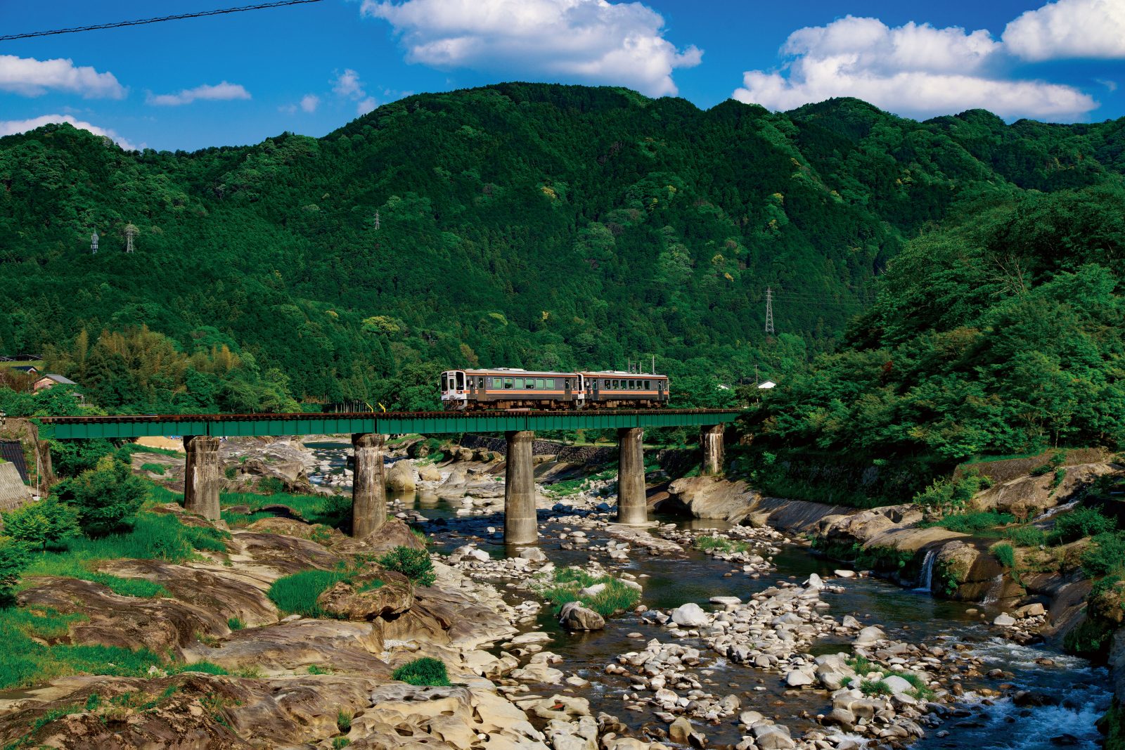 名松線の写真「新緑の家城ライン」