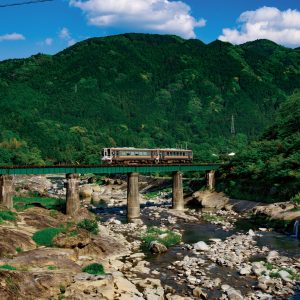 名松線の写真「新緑の家城ライン」