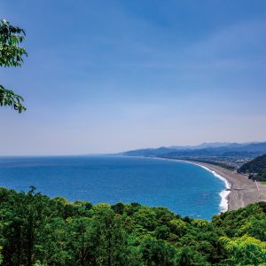 新緑と七里御浜