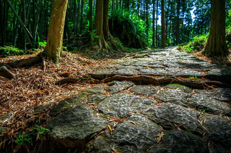 松本峠の写真「輝く江戸の石畳」