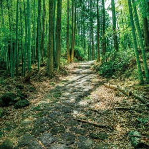 松本峠の写真「江戸の石畳」