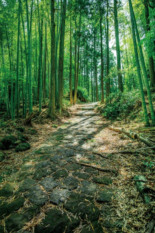 松本峠の写真「江戸の石畳」