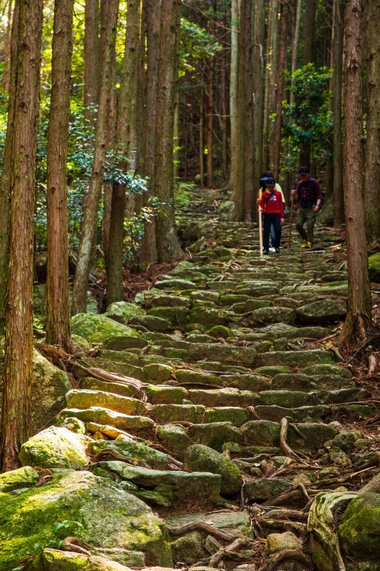 松本峠の写真「石畳を歩く」