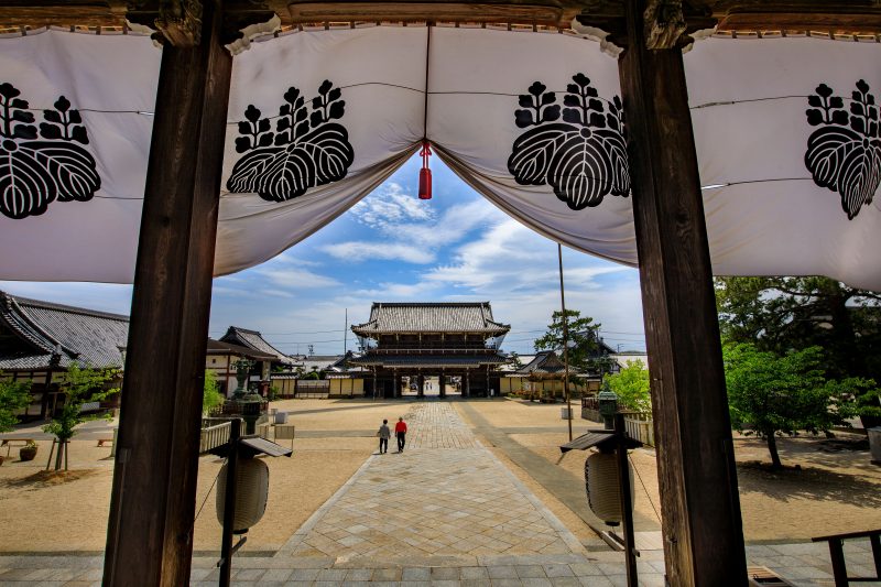 高田本山専修寺の写真「御影堂からの眺め」