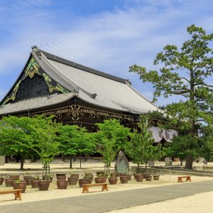 初夏の青空と御影堂