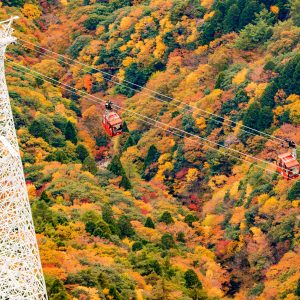 御在所ロープウエイの写真「紅葉に囲まれたゴンドラ」