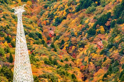 御在所ロープウエイの写真「紅葉に囲まれたゴンドラ」