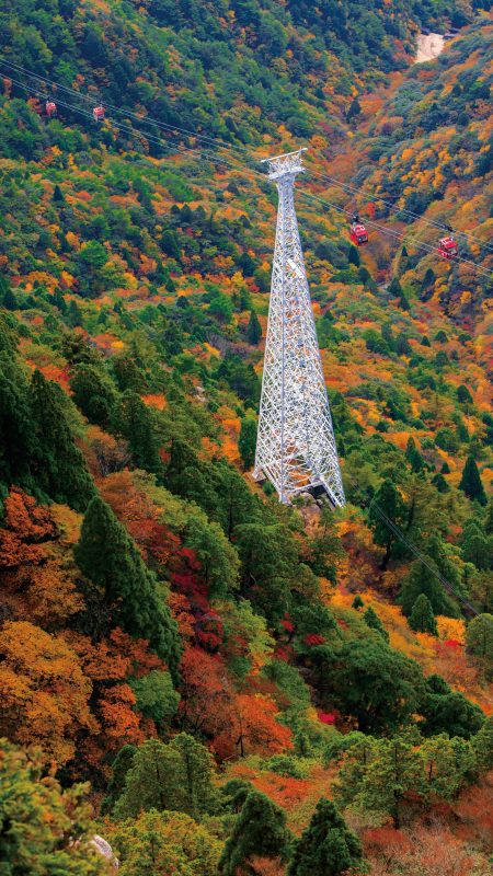 御在所ロープウエイの写真「御在所岳の紅葉グラデーション」