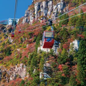 岩山と紅葉