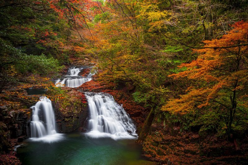 赤目四十八滝の写真「荷担滝の紅葉」