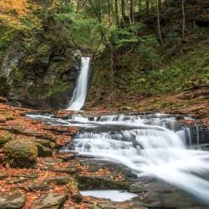 紅葉する琵琶滝の紅葉の絨毯