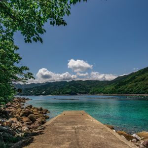 楯ヶ崎の写真「阿古師神社からの眺め」