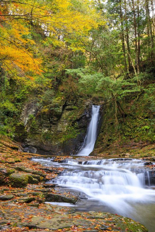 赤目四十八滝の写真「静寂な琵琶滝の秋」