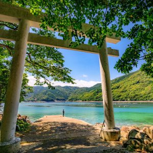 阿子師神社の鳥居