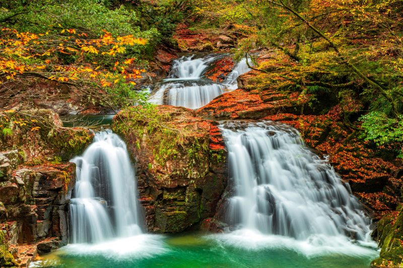 赤目四十八滝の写真「秋色に染まる荷担滝」