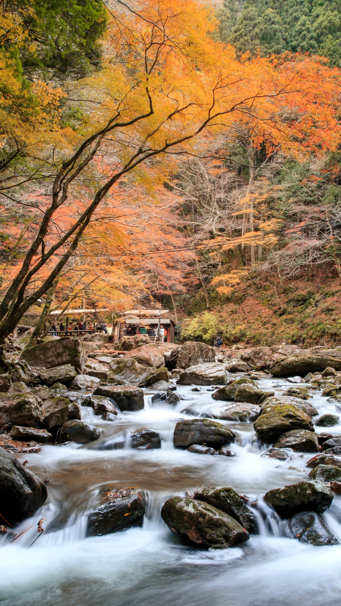 無料スマホ壁紙 紅葉と川のせせらぎ。AndroidとiPhoneに対応した4K高画質の無料待ち受け画像。三重県名張市の赤目四十八滝で撮影したフリー写真素材