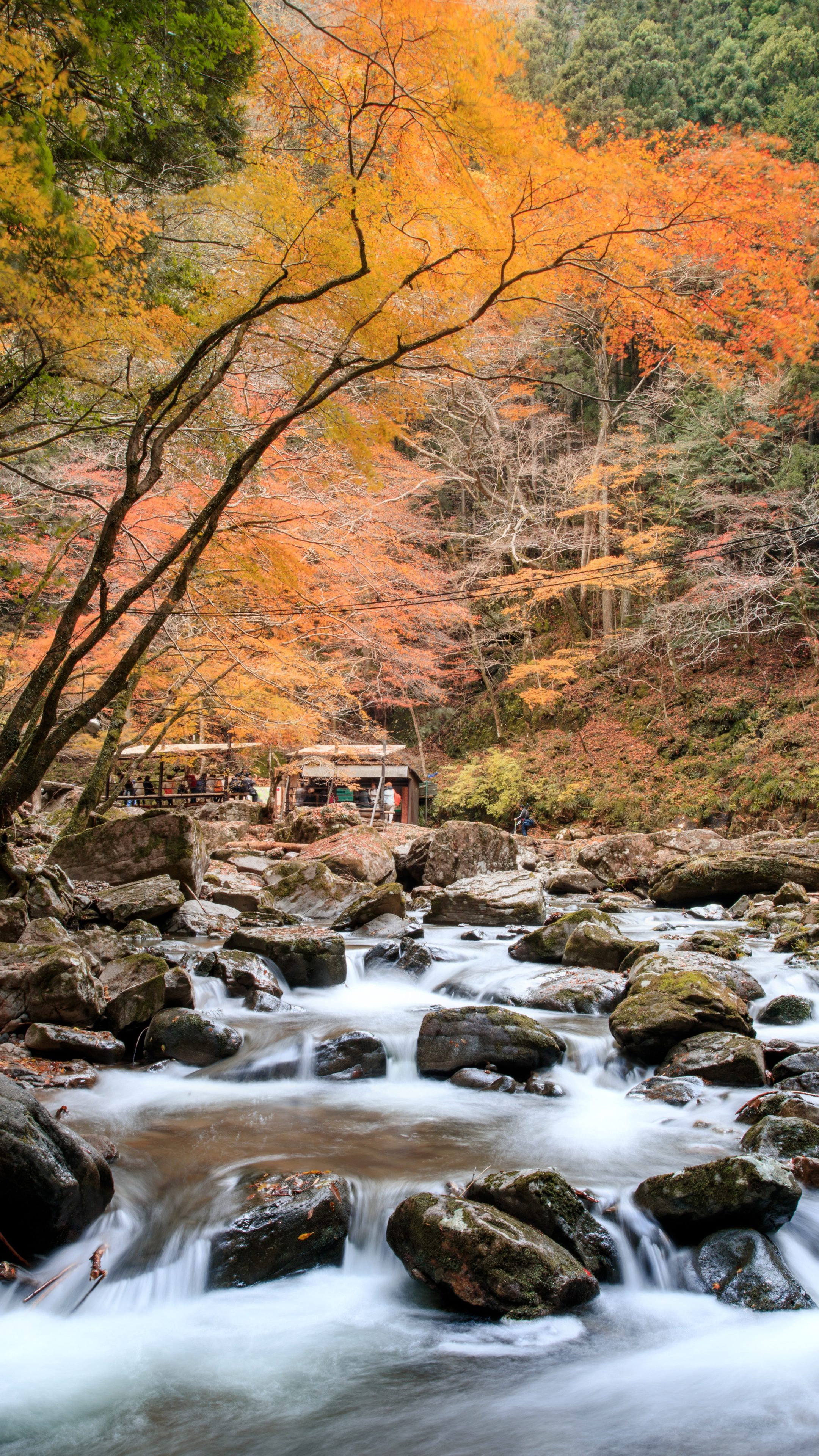 無料スマホ壁紙 紅葉と川のせせらぎ。AndroidとiPhoneに対応した4K高画質の無料待ち受け画像。三重県名張市の赤目四十八滝で撮影したフリー写真素材