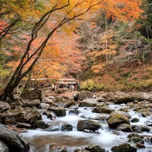 赤目四十八滝の写真「紅葉と川のせせらぎ」