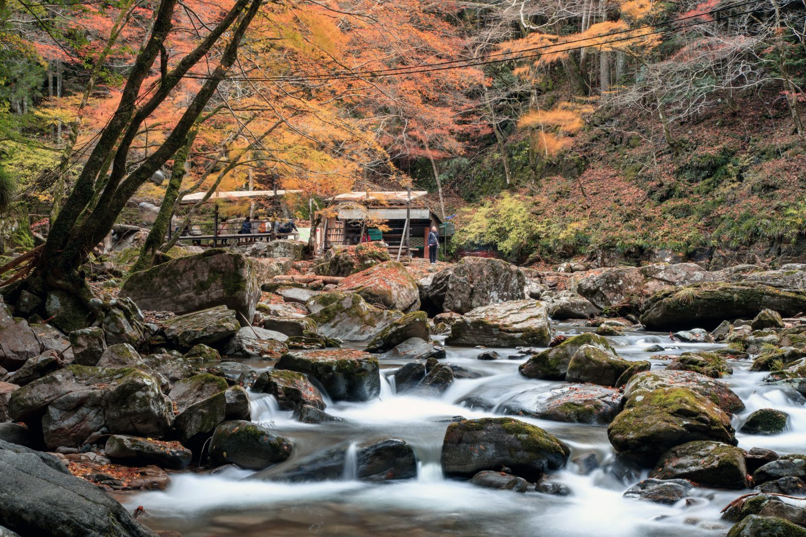 紅葉とせせらぎの美しい景色