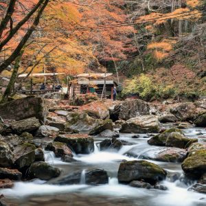 赤目四十八滝の写真「紅葉とせせらぎの美しい景色」