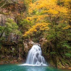 紅葉する千手滝