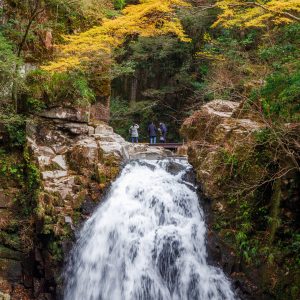 赤目四十八滝の写真「千手滝の上にいるような光景」