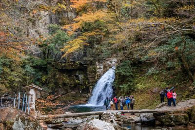 赤目四十八滝の写真「千手滝の紅葉を石橋から眺める人々」