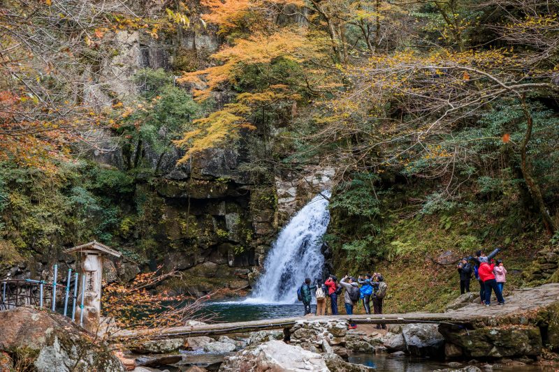 赤目四十八滝の写真「千手滝の紅葉を石橋から眺める人々」